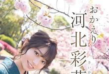 【河北彩花】复出4个月就成为2021年销量总冠军,近年来最恐怖的新人王-沐风文化