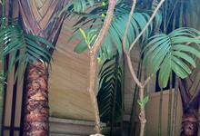 赵露思:我的夏日ootd🌴 -沐风文化