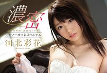 还是没有作品…河北彩花走定了!-沐风文化