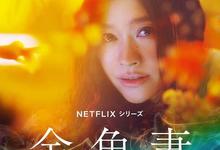 金鱼妻全集 2022日剧 BD1080P 迅雷下载-沐风文化