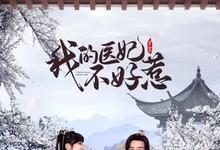 我的医妃不好惹3全集 2023国剧 HD1080P 迅雷下载-沐风文化