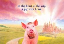 1998澳大利亚喜剧《小猪宝贝2:小猪进城》HD1080P 迅雷下载-沐风文化