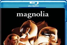 1999IMDB经典TOP209《木兰花/心灵角落》BD1080P 迅雷下载-沐风文化