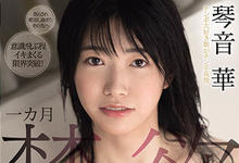 MIDE-956 “琴音华”禁欲一个月 解封之日不间断活塞输送伺候！-沐风文化